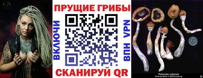 Галлюциногенные грибы мицелий  Ак-Довурак 